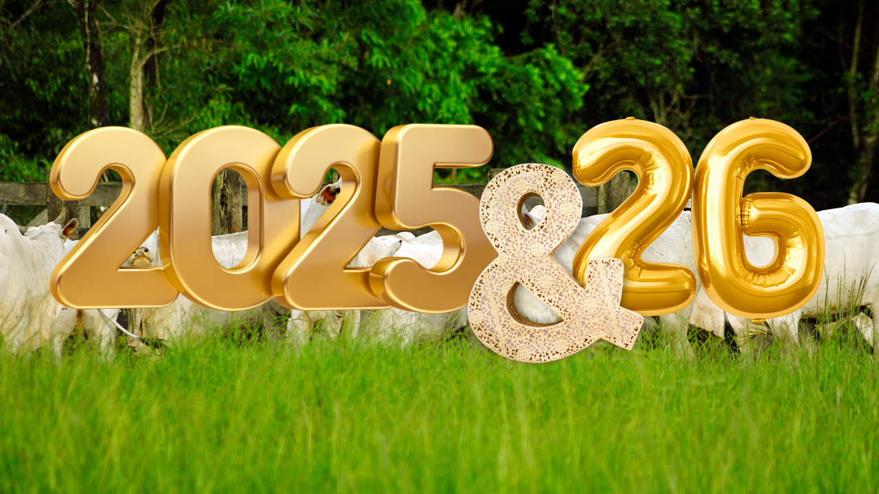 Como começar na pecuária em 2025: guia completo, realista e rentável